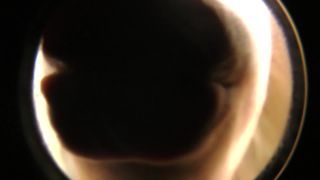 Kendall OlsenNeedy-Snugglebot-8