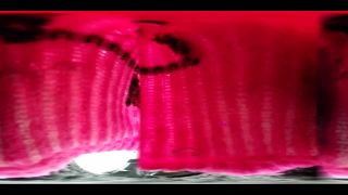 online porn video 12 femdom whipping slave masturbation porn | Goddess Taylor Knight – Trapped in my Giantess sock 360 | joi video-7