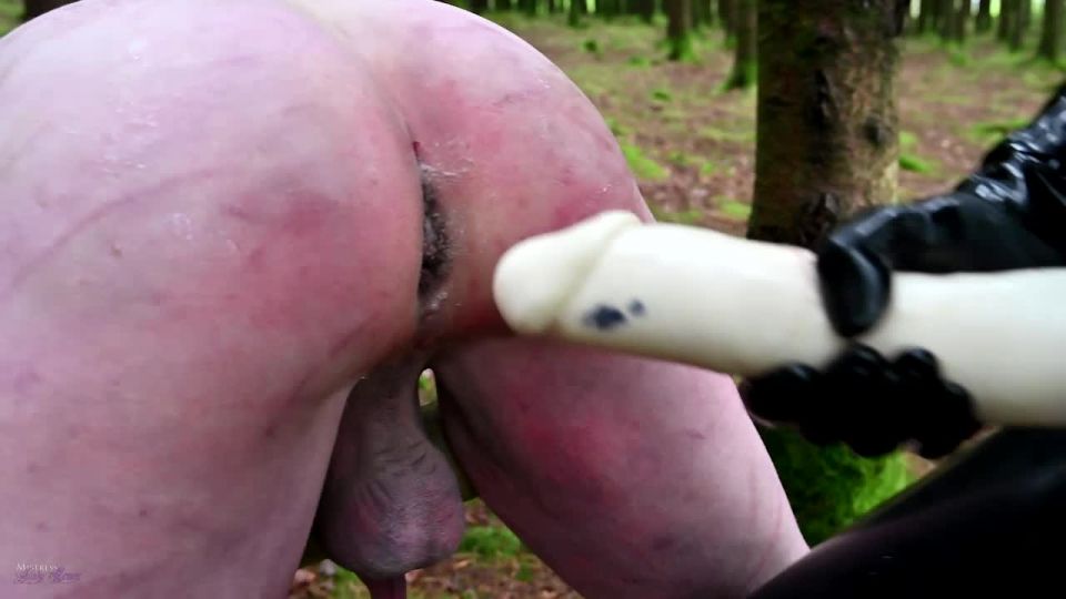 Mistress Lady Renee Bent Over And Banged In The Woods Vi...