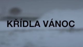 Vica Kerekes - Krídla Vanoc (2013) HD 720p!!!-6