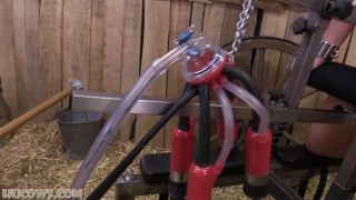 Hucows – Lisa – back to the barn(BDSM porn)-0