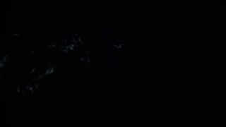 Hairy goddess Big Yoni 95 gaping cunt swallows horse cock...-9