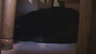 CollegeFuckFest Party All Night  (mp4)-5