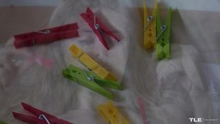 Clothespins Experiment  2-1