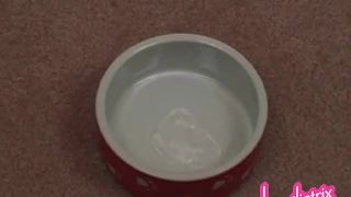 Humiliatrix tifftest (mp4)-9