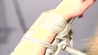 free adult video 9 California Star collections 3 on femdom porn animal fetish porn-6