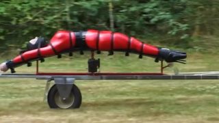 clip 30 HouseofGord: Trussed and Transported - cinch straps - femdom porn deutsche femdom-8