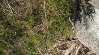 IMG_9696-7