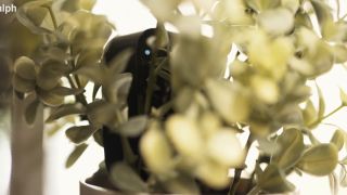 WreccItRalph – Petite Slut Wife Got Caught On Home Camera Cheating On Her Husband With Bbc – XvideosRED.-0