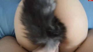 Misses Grey - Hündin mit Schwanz 720P - Mdh-0