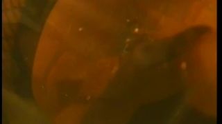 online xxx clip 37 Heather Tristany Shay Sights and Wanda Curtis Lesbian Sex Toy Action | fetish | femdom porn femdom tied up-2