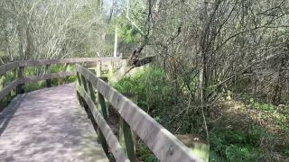 [OF] Apex Suicide_20210124-2015506560-This_video_was_super_fun_to_film_Hope_you_enjoy-3