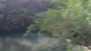Forestnymph Island Adventure Pt Ii - [Webcam]-3