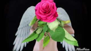 online clip 14 femdom forced chastity fetish porn | GoddessPoison – IM NO ANGEL… | jerkoff instruction-8
