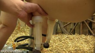 free adult clip 49 big boobs femdom Penny Pocket Fucked And Sucked, bondage on femdom porn-8