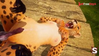 [GetFreeDays.com] Horny furry couple fuck hard outdoors in wild Wild Life sex Porn Video October 2022-9