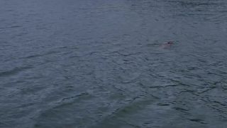 Amira Akili, Melodie Richard, Margot Guitton, Anna Camplan, Eleonor Vergez, Marlene Saldana, Carlotta Moraru, Ines Maire Fernande, Vimala Pons - Metamorphoses (2014) HD 1080p - (Celebrity porn)-9