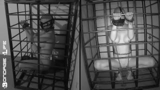 xxx video 6 Bondage Life – More Storage Time For Greyhound, furry male bdsm on bdsm porn -5