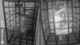 xxx video 6 Bondage Life – More Storage Time For Greyhound, furry male bdsm on bdsm porn -9