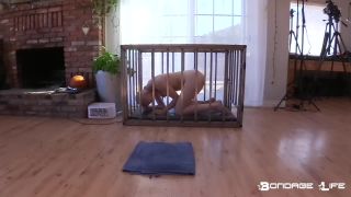 Greyhound Head Shave (BrutalMaster Edition) - 01.24.22 Qu...-3