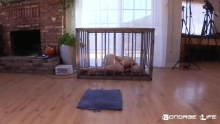 Greyhound Head Shave (BrutalMaster Edition) - 01.24.22 Qu...-7