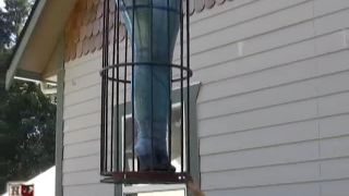 House of Gord18 10 27 Adrianna Nicole - Chick Wrapped And Hoisted Part II-9