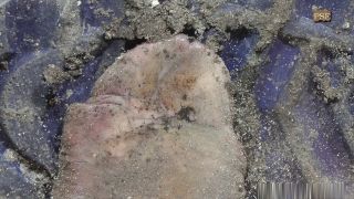 MB215 CBT-GFV-Evil and dirty Rubber Boots 1.-6