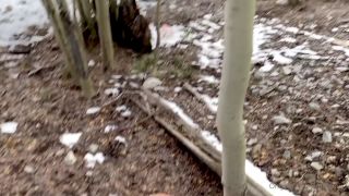 Dania Vega DaniaVegaX Video 101-1