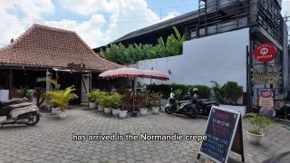 Aphrodixia 64093269 video 2024-08-19 00-16-1