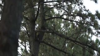 [WarAnLov.com] ZEPE-64 Ninja Agent Aika Fear of Poisonous Spider Witch-022-016-1