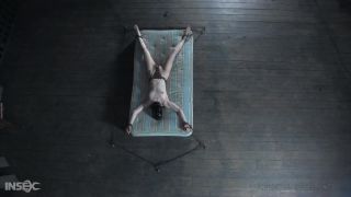 porn clip 42 Calico  - Infernal Restraints, porno bdsm rus on bdsm porn -0