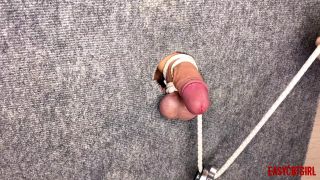 Mistress Tightly Tied the Slaves Cock and Balls by Hanging a Load on them Easy.-3