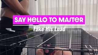 LGM H265_Say Hello To Master Worship His Cock -9