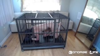 clip 15 Bondage Life – Playful Cage Time – 7/2/2021, interracial bdsm on bdsm porn -0