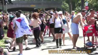 Coccozella-SiteRIP 0284-damon-b2b2009-2-6