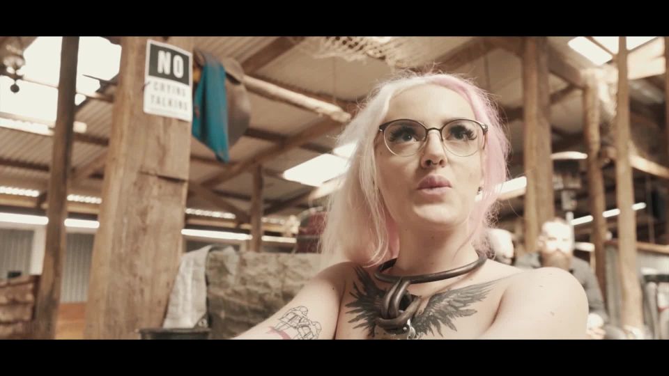 adult xxx video 38 bdsm shaving bdsm porn | Fancy Steel – The Farm 5 | cobie