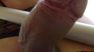 Watch Brazilian Beauty Angel Star-0