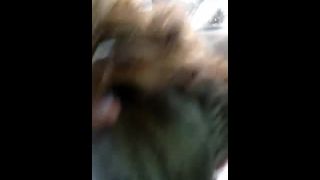 Porn tube Horny Girl Slides Whole BBC In Her Throat-5