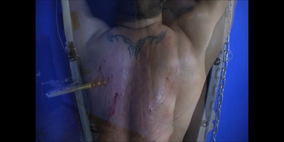 Cybill Troy Whipped Into Shape by Cybill Troy