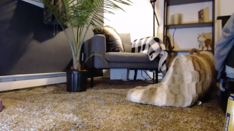 xxx video 36 Mattiedoll - lvl80waifu / Onlyfans Lvlwaifu - my first stream please tip if you enjoyed it it will encourage me to keep at it i will 23-11-2019 - Doll - hardcore - hardcore porn hardcore stocking porn