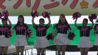  Gcolle Performance 6 Kanto National University Dance – BLD1, gcolle performance 6 kanto national university dance on 3d porn-8