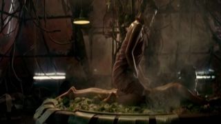 Mylene Jampanoi, Xiaoran Li - Les filles du botaniste (2006) - (Celebrity porn)-7
