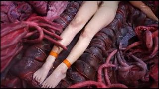 GIGP-13 船乗りフリージア～触手の罠に嵌り凌辱アクメ～倉木詩織 Shiori Kuraki - Japanese-8