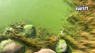 BIDI6669 - Deep Connections: Behind-the-Scenes Glimpses of Everyday Life-4