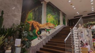 hermionePotter 1480400896 The Japan adventure continues! 🎌 This time, we’re heading to   01 0hxgdfvwrmp5vaaalmc6q source-2