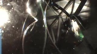 video 37 The Portal [856.1 MB], trans bdsm video on femdom porn -2
