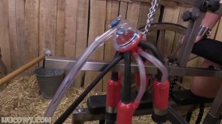 adult video 4 femdom group femdom porn | Lisa back to the barn [Full HD 933.2 MB] | milking machine-9