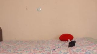 Online Tube Shemale Webcams Video for November 15, 2018 - shemales-6