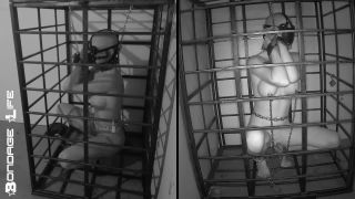 free online video 12 Bondage Life – More Storage Time For Greyhound on femdom porn nimin fetish fantasy-0