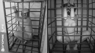 free online video 12 Bondage Life – More Storage Time For Greyhound on femdom porn nimin fetish fantasy-1